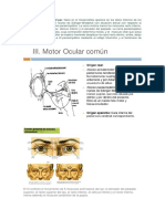 Funciones del III par craneal o nervio motor ocular común