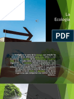 Ecologia Multimedia