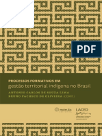 Processos Formativos em Gestão Territorial Indígena No Brasil