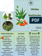 triptico hierbas medicinales