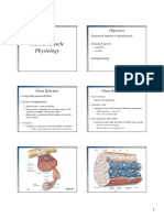 Skeletal Muscle Lectures