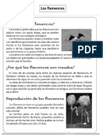 Texto Informativo 4