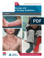 Burns PT OT Guidelines PDF