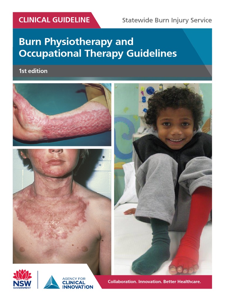Burns PT OT Guidelines PDF PDF Scar Physical Therapy