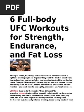 UFC Body Workout Program