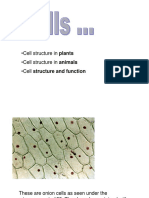 Cellsjw PDF