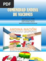 Comunidad Andina de Naciones