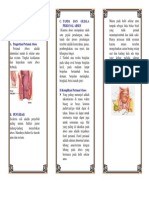 Leaflet Perianal Abses