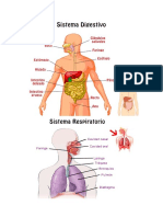 Sistemas.pdf