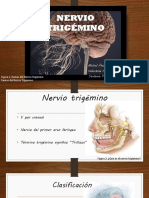 Nervio Trigémino