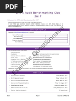 Audit Example Questionnaire 2017