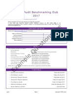 Audit Example Questionnaire 2017
