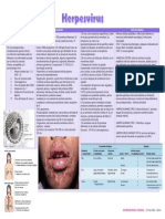 Herpes Virua Microbiologia UAEH