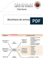 BIOSINTESIS AMINOACIDOS.pptx
