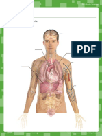 Body Parts PDF