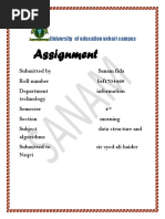 Assignment: University of Education Vehari Campus