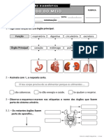 Ficha de Avaliação Diagnóstica - 4º ano EM II.pdf