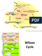 Wilson Cycle 1