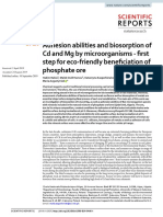 Adhesion Abilities and Biosorption of CD and MG by Microorganisms - First Step For Eco-Friendly Beneficiation of Phosphate Ore