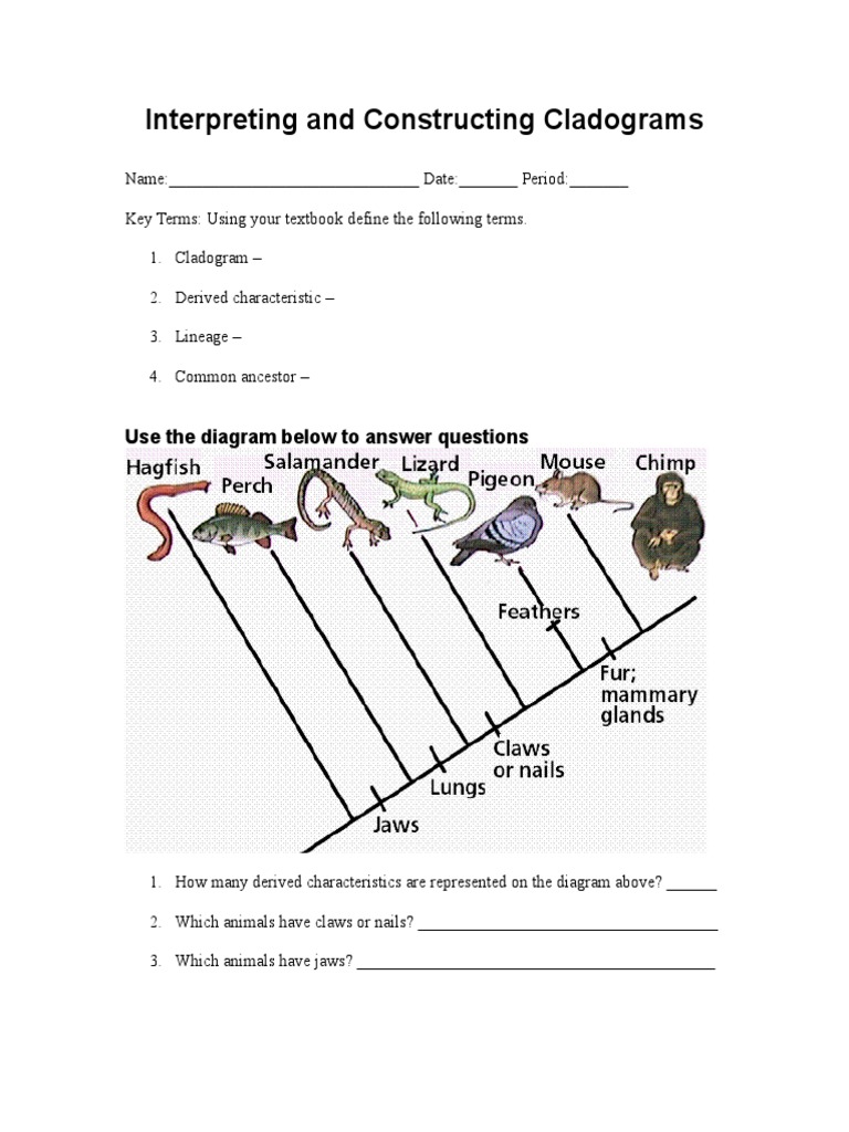 Interpreting And Constructing Cladograms Organisms Nature