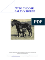 How to Choose a Horse.pdf