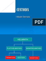 Cestoda: I Made Dwinata