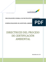 Directrices Proceso Certificaci n 2017 Completo