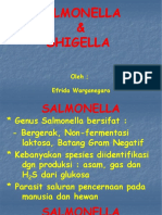 Salmonella Dan Shigella