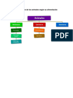 Clasificación de Los Animales Según Su Alimentación