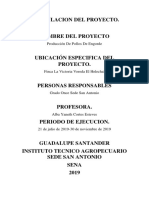 Formulacion Del Proyecto