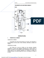 GUIA ANATOMIA HUMANA.pdf