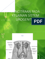 3.1.4.5 Radiologi Urogenital