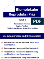 Dasar Biomolekuler Reproduksi Pria: Kuliah 2