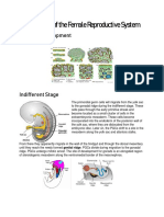 Development of fml.pdf