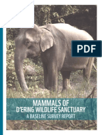 Mammals of D'Ering WLS