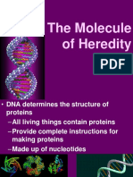 DNA-The Molecule of Heredity