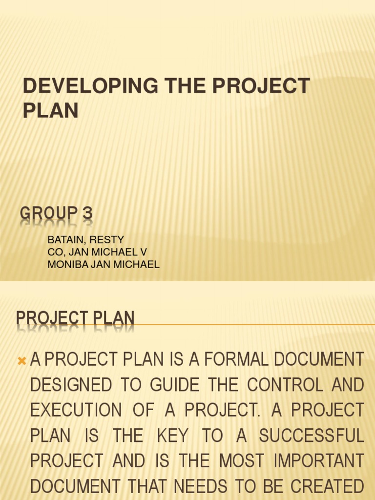 Developing The Project Plan Group 3 PDF Economies Business