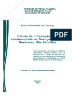 Estudo Da Inflamação e Da Autoimunidade Na Doença Hepática Gordurosa Não Alcoólica