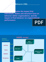 Organizational Behavior (OB)