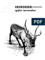 Reindeer Booklet