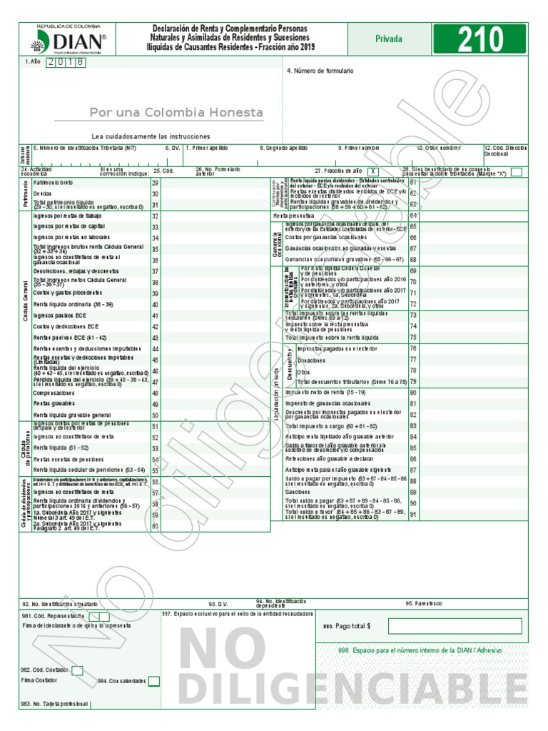 Formulario 210 20192 | PDF | Impuesto sobre la renta | Contabilidad