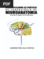 Laboratório de Neuroanatomia
