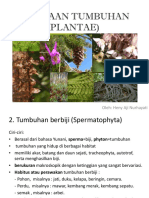 speermatophyta