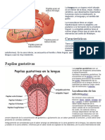 Fisiologia