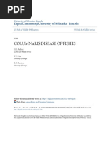 Columnaris Disease of Fishes: Digitalcommons@University of Nebraska - Lincoln