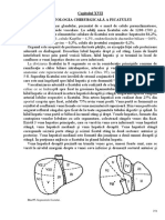 Patologia Chirurgicala A Ficatului8366988244199057891