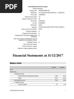 Financial Statements 2017 PDF