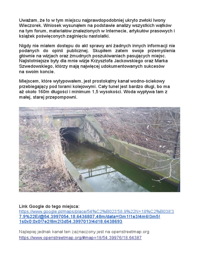 Co Się Stało Z Iwoną Wieczorek Książka Pdf
