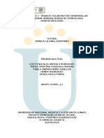 Unidad 1 - Tarea 1 - Trabajo Colaborativo - Desarrollar Actividad Sobre Generalidades de Morfología.