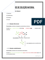 Tipos Seleção Natural